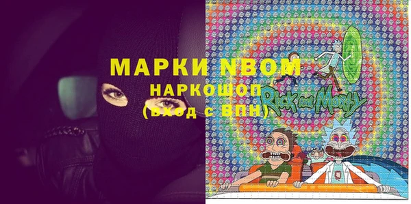 гидра Богородск