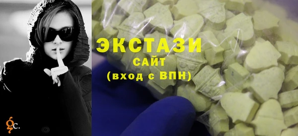 гидра Богородск