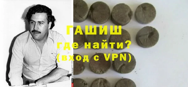 гидра Богородск