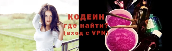 гидра Богородск