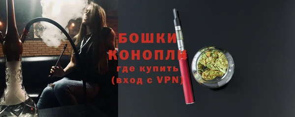 гидра Богородск
