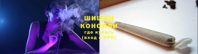 apvp Богородицк