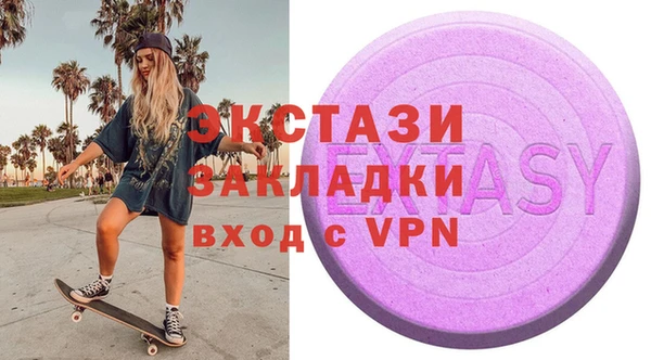 гидра Богородск
