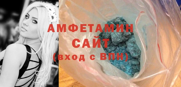 гидра Богородск