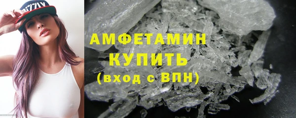 гидра Богородск