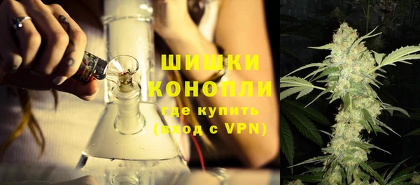 гидра Богородск
