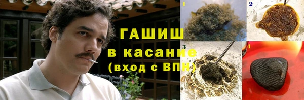гидра Богородск